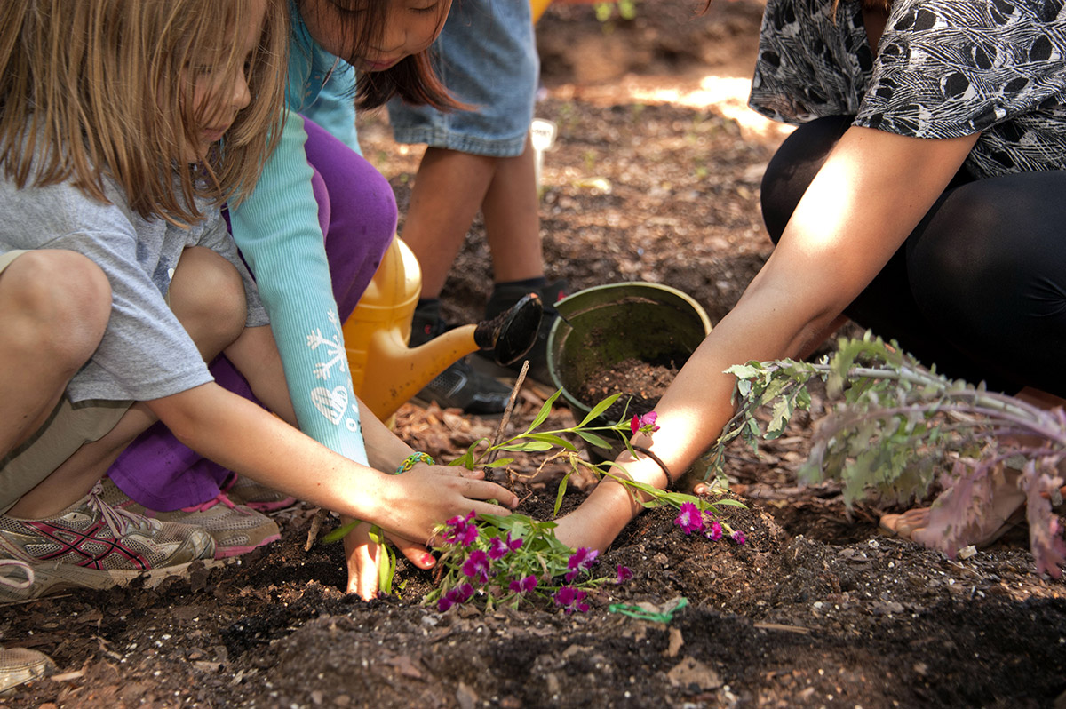 Children planting a flower with the help of an adult in the dirt